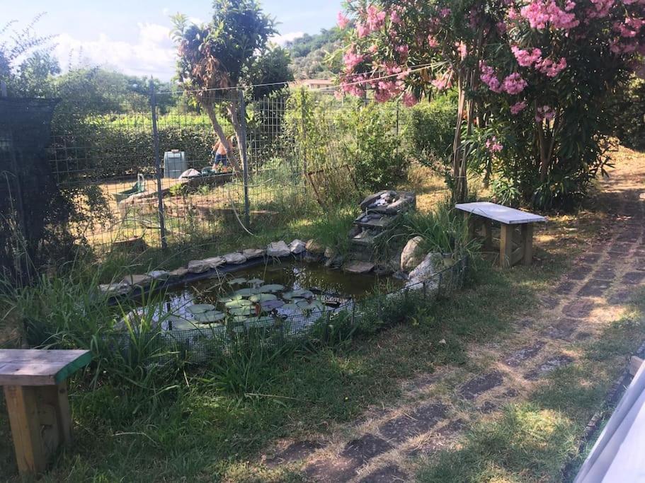Le Rose , Relax In Casolare Del 1700 Lejlighed Sarzana Eksteriør billede